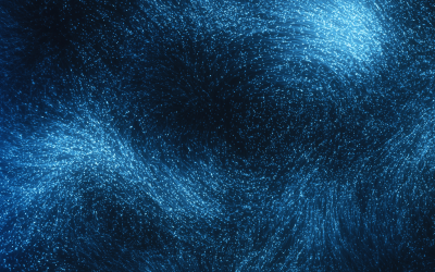 International Summer School on «Carbon and related nanomaterials: Synthesis, characterisation and properties»