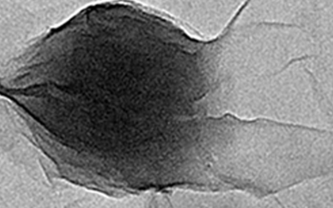 El óxido de grafeno, solución verde para fabricar dispositivos optoelectrónicos - Instituto de Carboquímica