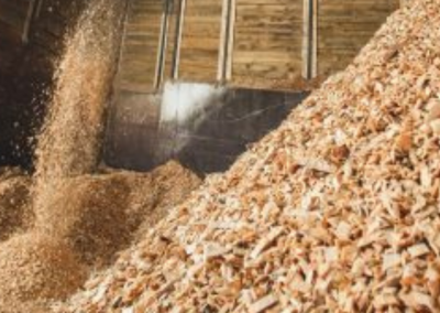Grupo de Procesos Químicos Avanzados - Instituto de Carboquímica