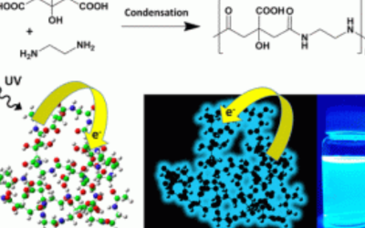 Recent article in JACS from the GCNN group reviewed