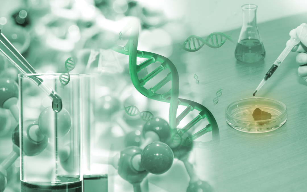 SEMANA DE LA CIENCIA DEL CSIC - Instituto de Carboquímica