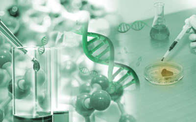 SEMANA DE LA CIENCIA DEL CSIC