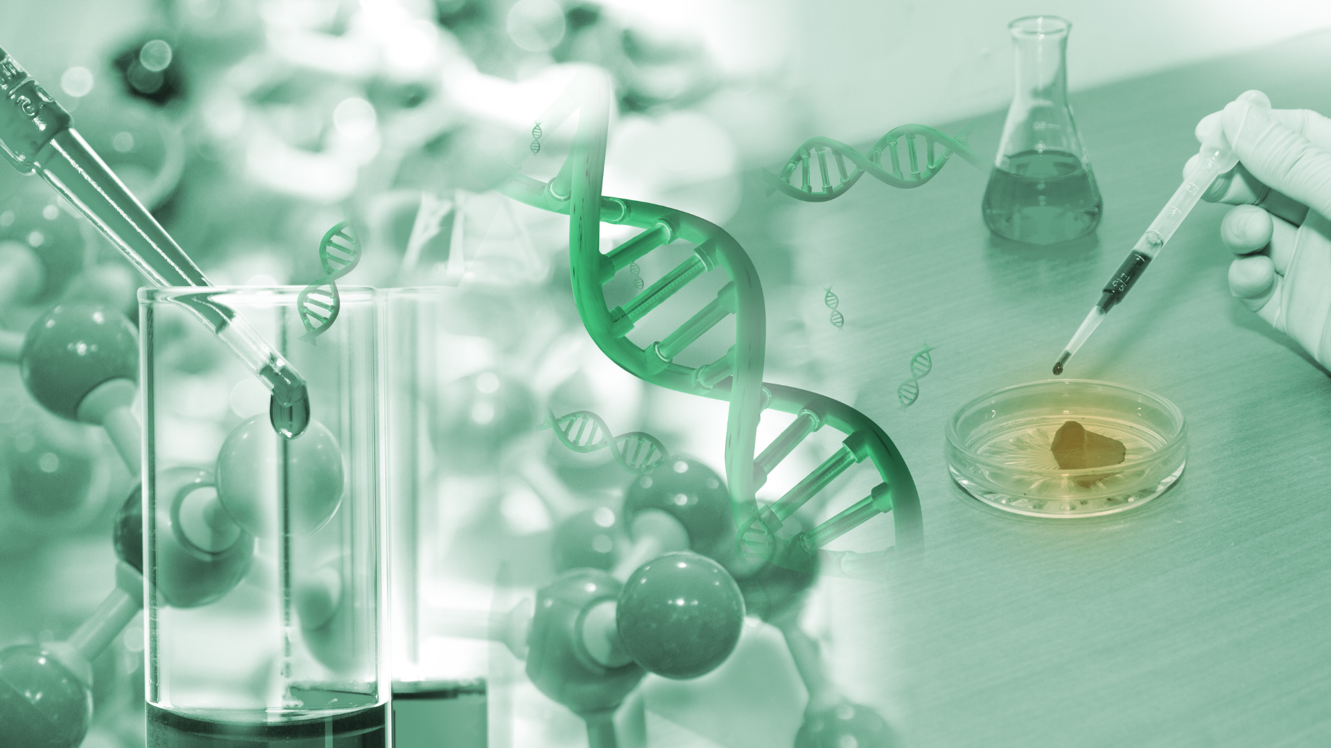 SEMANA DE LA CIENCIA DEL CSIC - Instituto de Carboquímica