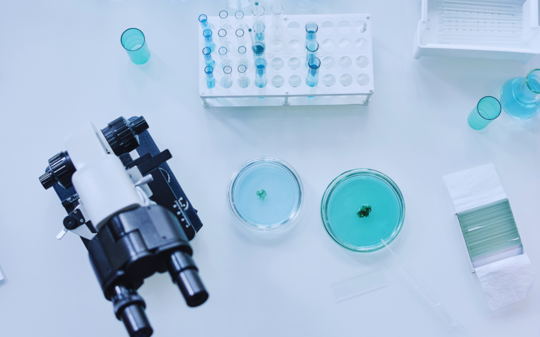 El grupo de Combustión y Gasificación ofrece dos becas remuneradas de formación JAE-Intro de 7 meses de duración - Instituto de Carboquímica
