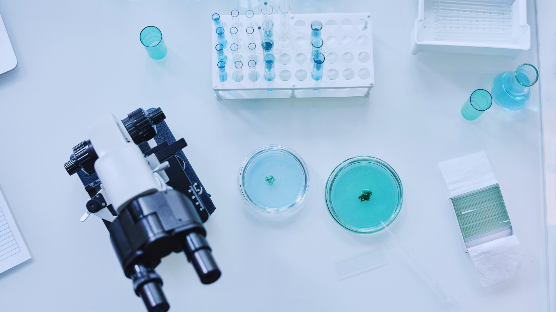 El grupo de Combustión y Gasificación ofrece dos becas remuneradas de formación JAE-Intro de 7 meses de duración - Instituto de Carboquímica