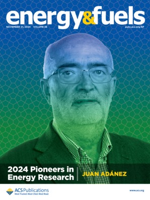 Portada especial Juan Adánez Elorzi Energy & Fuels