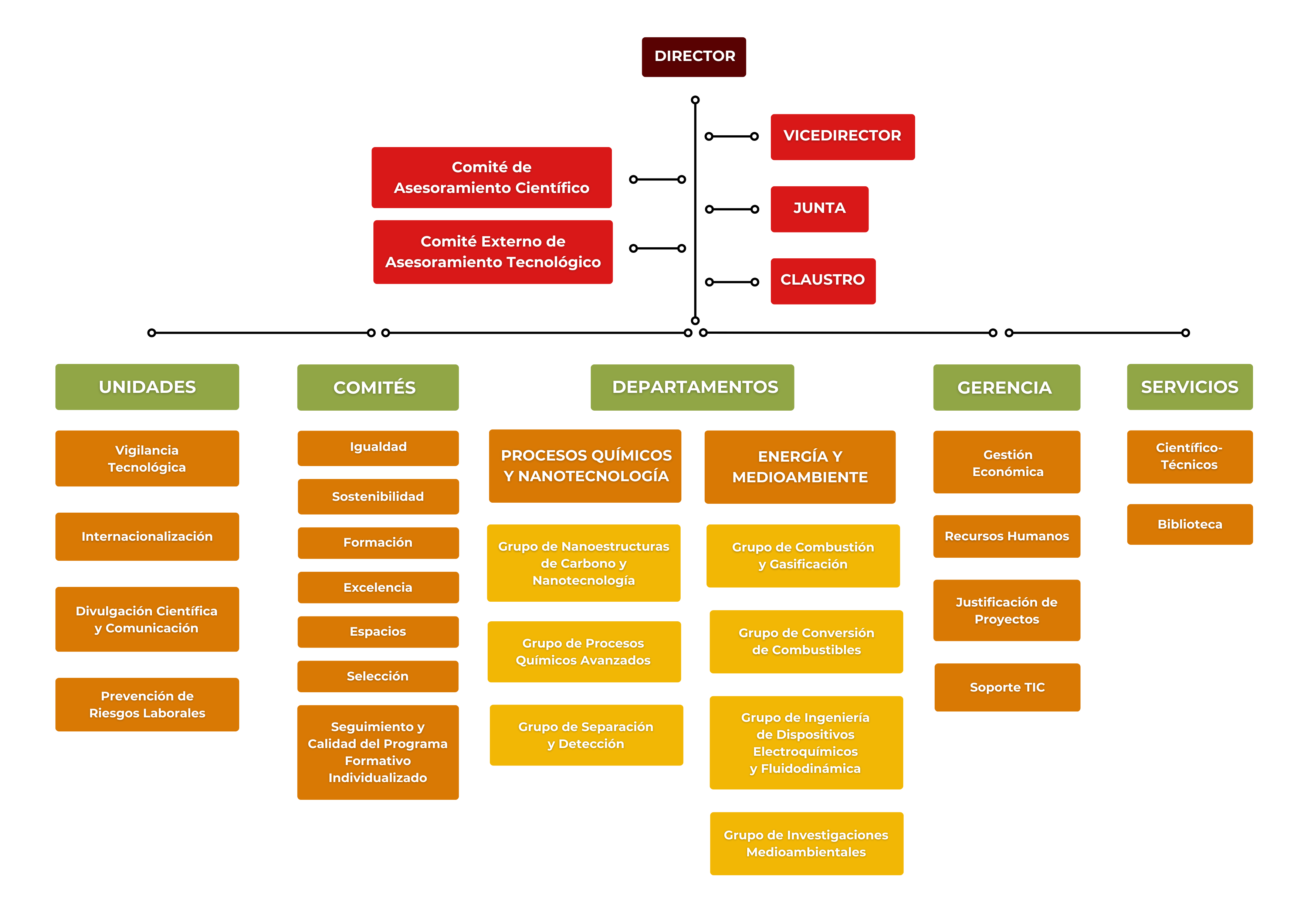 Organigrama - Instituto de Carboquímica